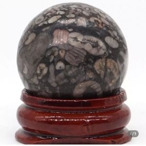 Crinoid Fossil Jasper sphere - sm